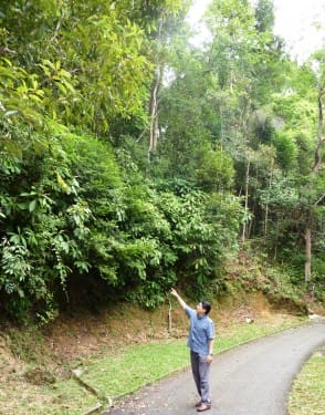 On 6th Jan 2011, took a retreat after monthly long tight schedule. Took A Natural RainForest Spa..... 
