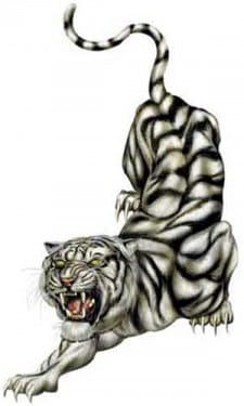 Western Metal Tiger 2010  西方金老虎 