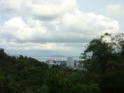 Places ( Jungle in Penang Hill) had been spent during my Daoism meditation