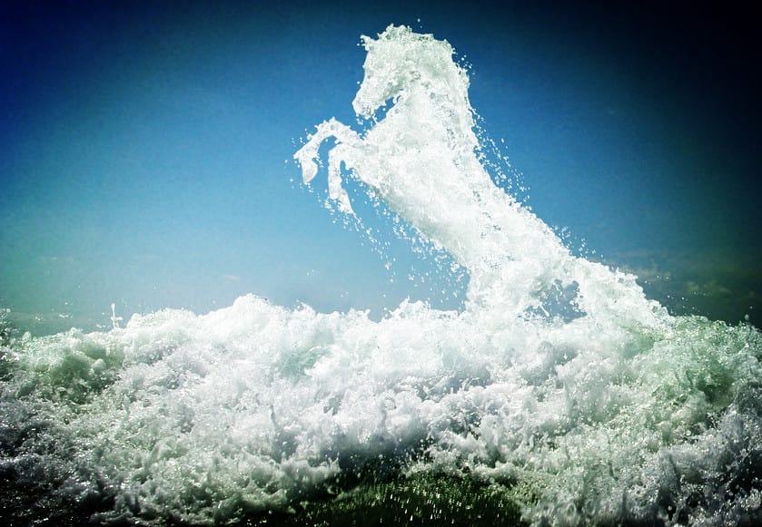 Master Soon. Vitalizing Your Horse Year 2014