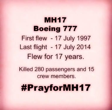 MH 17