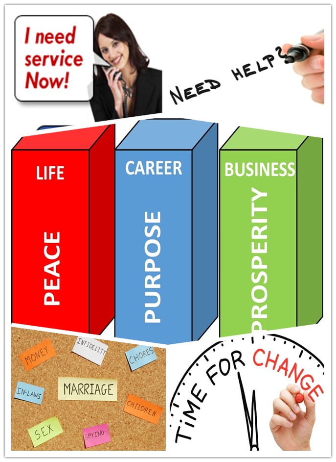 Career & Life Planning