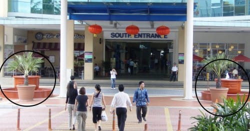 South Entrance of the Curve 1