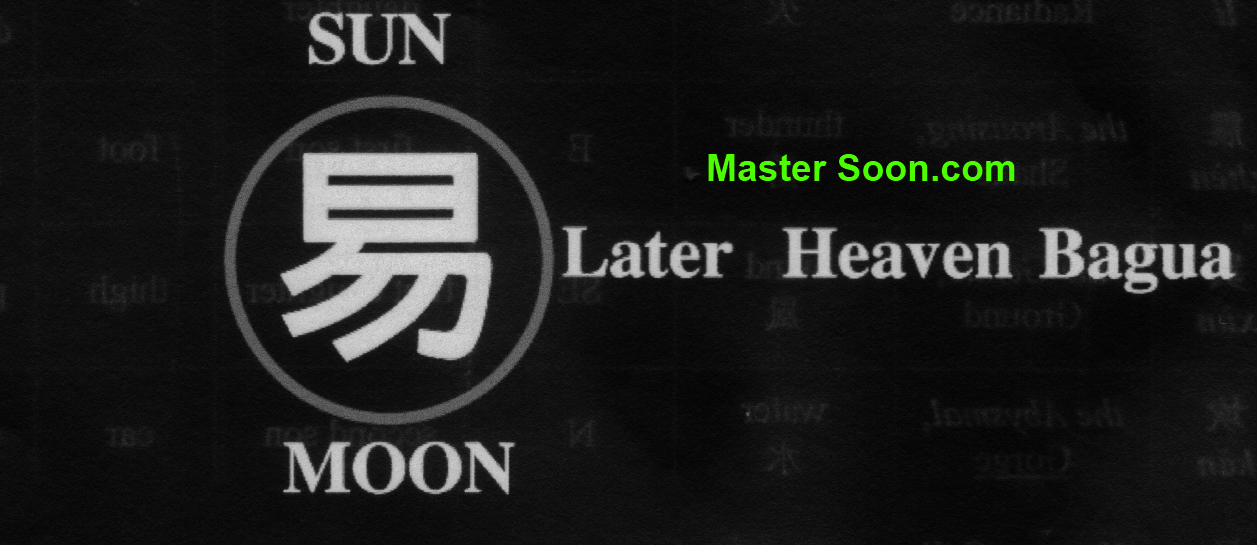 This Yi, means "Change". The Chinese writing is pictographic. "Yi" is combination of 2 portions which upper & lower. The Upper partion is Sun, 日. The lower portion is Moon月.  This is also the sequence of Later Heaven Bagua后天八卦. 