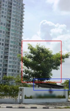 A medium size tree(Red box) and bushes(Blue Box) located a few meters away from my parking space.... All these corresponding to the hexagram 23.