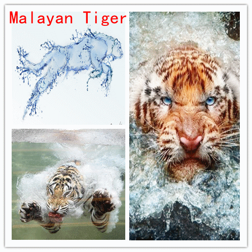 Malaysia Prophecy : Water Malayan Tiger 10 Years Luck Cycle