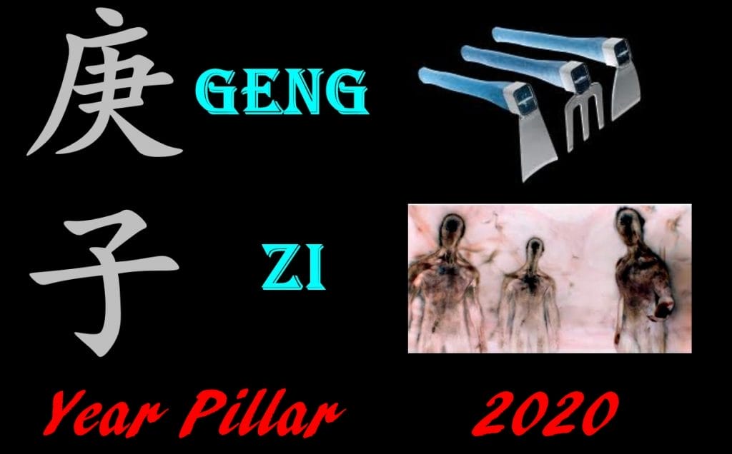Year Pillar 2020